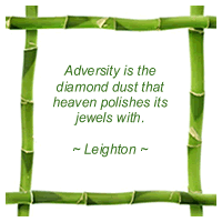 Quote