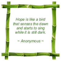 Quote