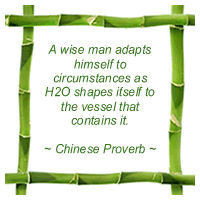 Chinese Proverb